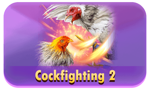 Cockfighting2
